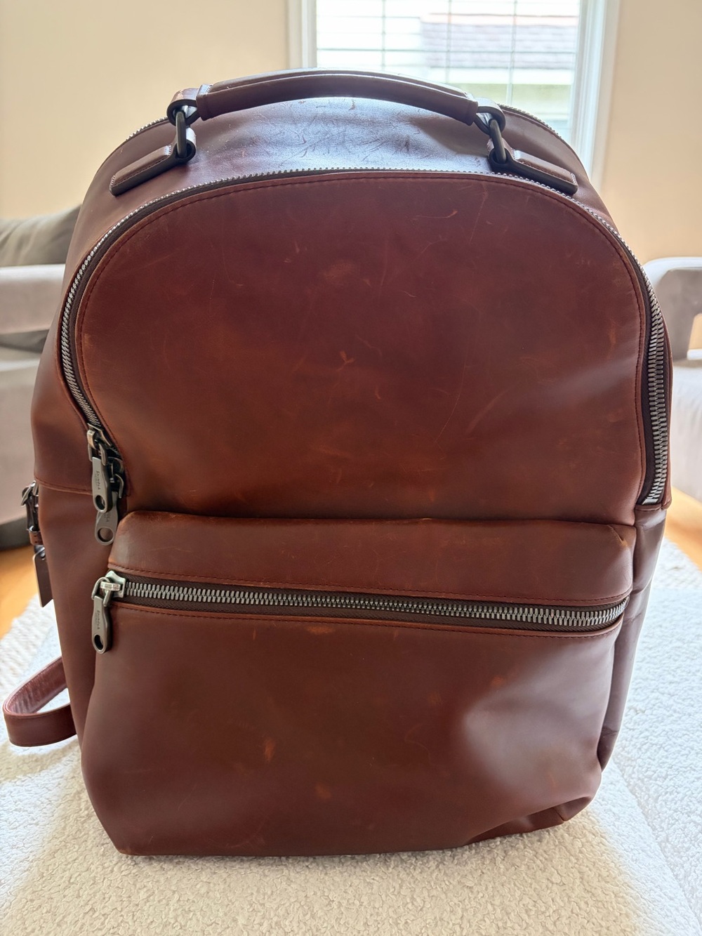 Leather Shinola Backpack in Brown - Classic Men's Bag